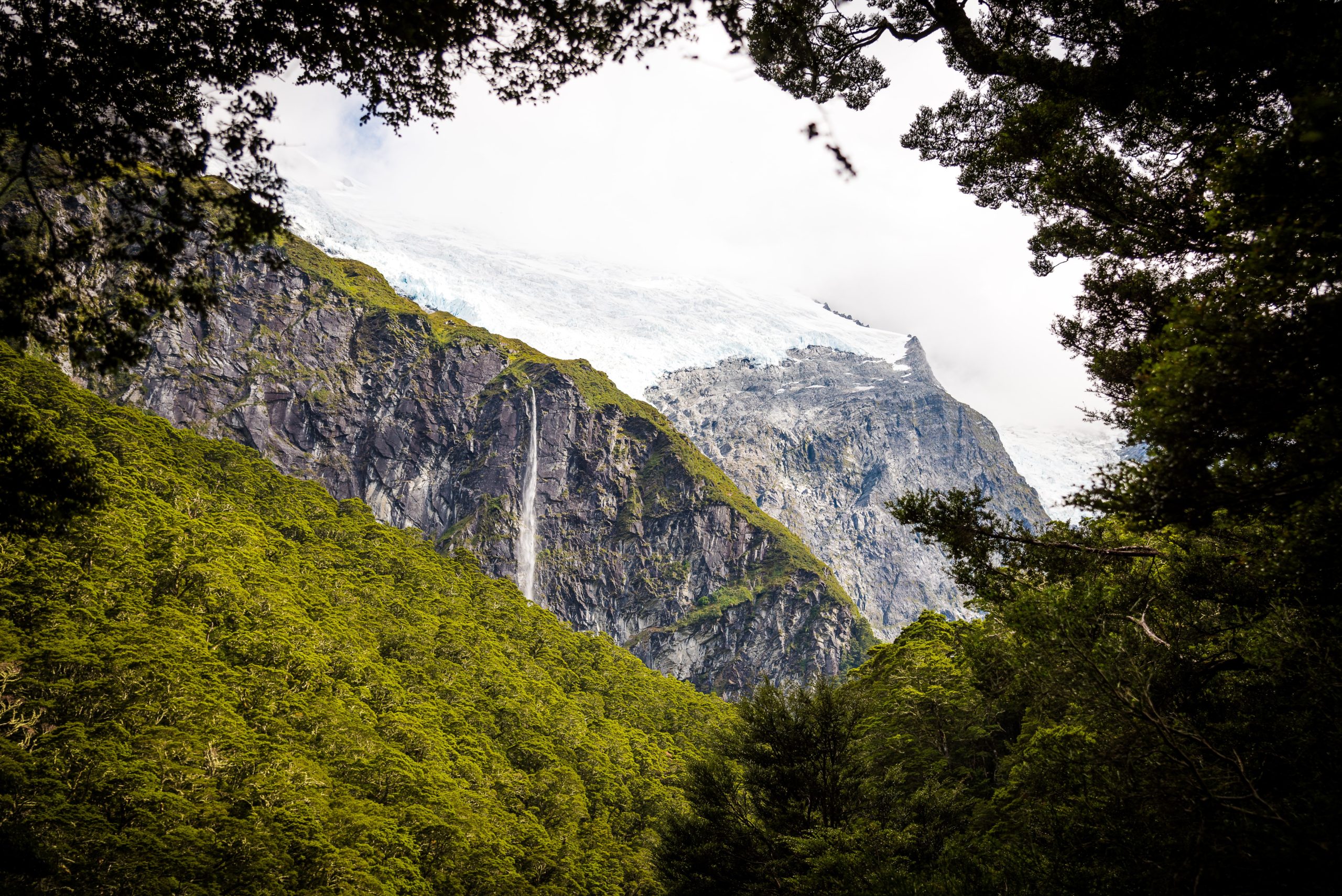 Mcleodganj is a Best Place for tourist in Himachal Pradesh. McLeod Ganj (likewise spelt McLeodGanj or McLeodganj) is a suburb of Dharamshala in Kangra area of Himachal Pradesh India. It is known as "Little Lhasa" or "Dhasa" (a short type of Dharamshala utilized primarily by Tibetans) due to its enormous populace of Tibetans. The Tibetan government in a state of banishment is settled in McLeod Ganj.